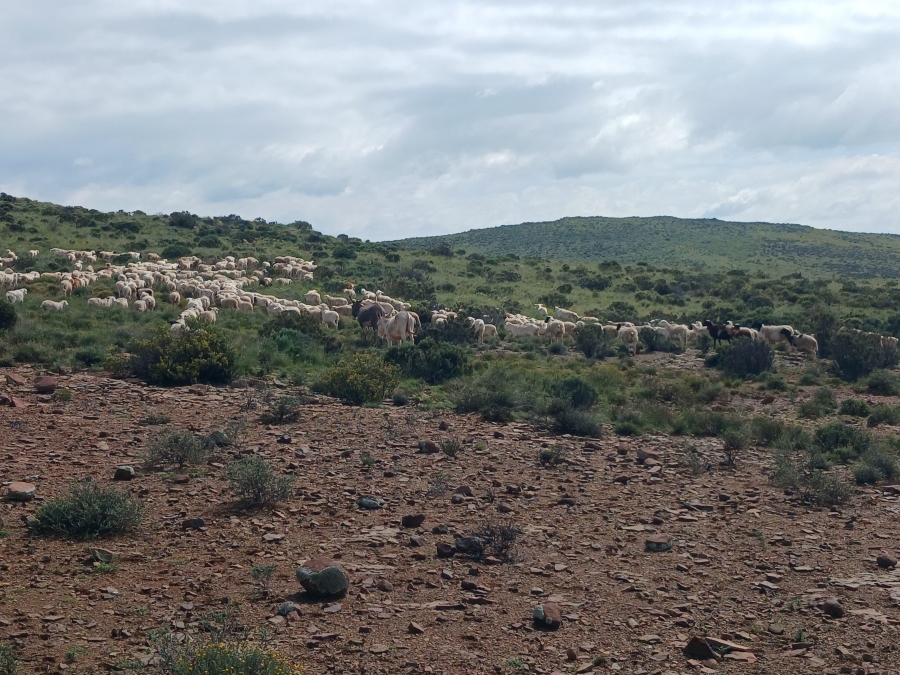 0 Bedroom Property for Sale in Richmond Rural Northern Cape